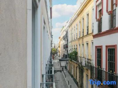 Friendly Rentals Tempa Museo - 38