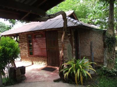 Lunda Orchid - 21