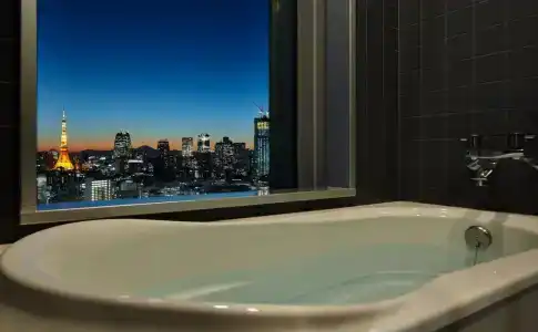 Mitsui Garden Ginza Premier - 17