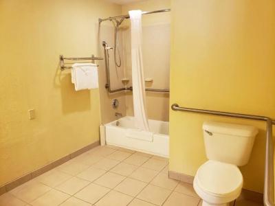 Quality Inn & Suites Vancouver - 53