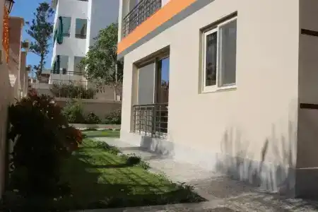 Al Raya - 0