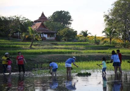 Baan Souchada Resort & Spa - 25