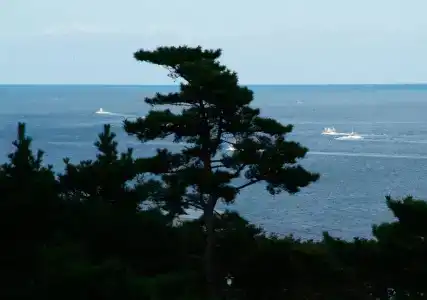 Keipu - 15