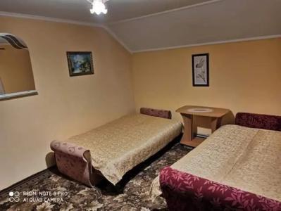 Барвінок - 30