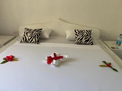 African Paradise Beach - 101