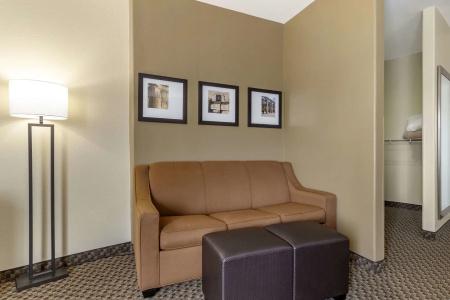 Comfort Suites Medical Center Near Six Flags - 15