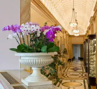 Regina Palace - 28