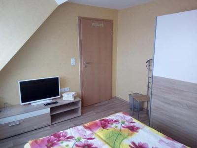 Pension zum Ringelberg - 73