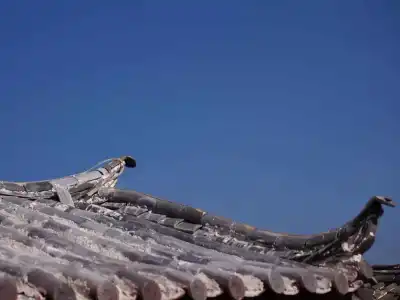 Lijiang Spiritual Utopia - 3