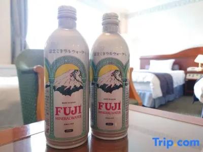 Mount Fuji - 74