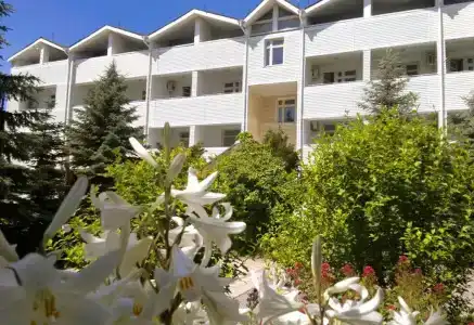 Корона - 1