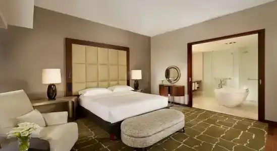 Park Hyatt Zurich – City Center Luxury - 107