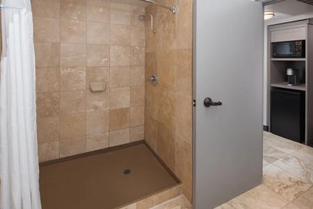 Holiday Inn - Portland - Columbia Riverfront, an IHG - 94