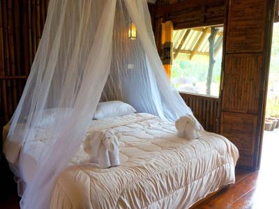 Khao Sok Jungle - 2
