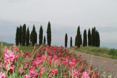 Agriturismo Cantagalli - 54