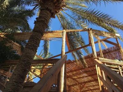 Sunrise Dahab Camp - 12