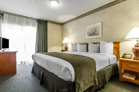 Quality Inn & Suites - 51