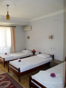 Eucalyptus Pension - 5
