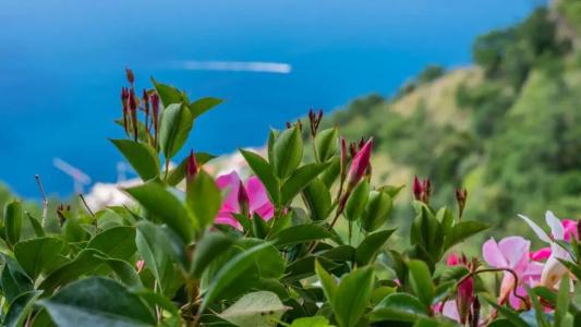 Albergo Diffuso Bacco Furore - 85