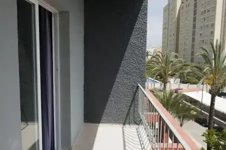 El Palmeral - 42