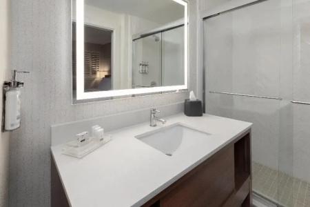 Holiday Inn West – Sunland Park, An Ihg - 59