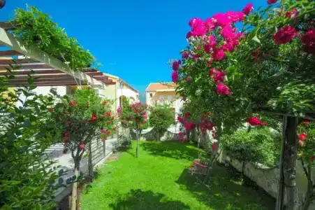 Villa Dragana - 40