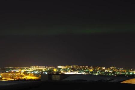 Icelandic - 43