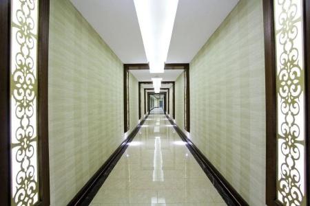Ayan Palace - 8