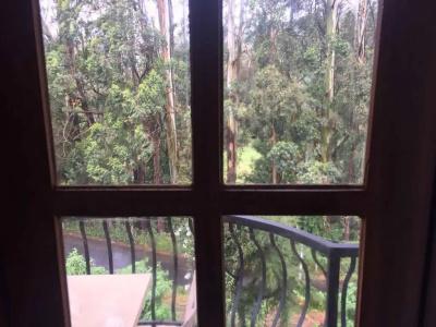 Panorama Green View Nuwara Eliya - 34
