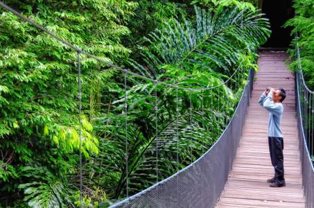 Bunga Raya Island & Spa - 35