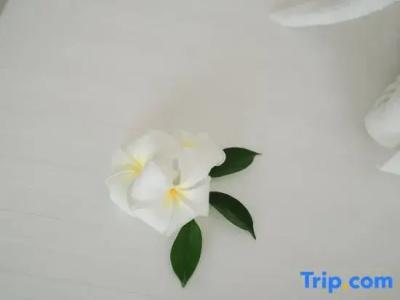Club Bamboo Boutique Resort & Spa - Sha Certified - 104