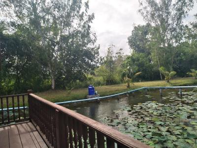 Sarocha Rayong - 17