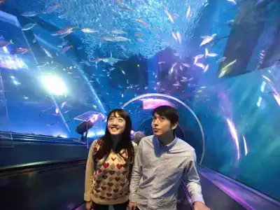 Yokohama Techno Tower - 9