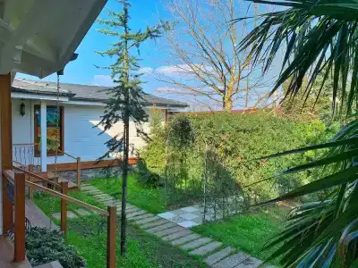 Sasa Harmanlık - 15