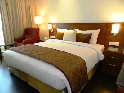 Marigold Jaipur - 52