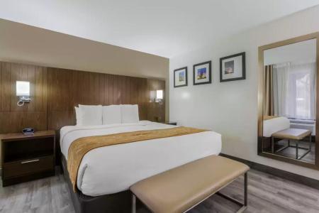 Comfort Suites At Sabino Canyon - 2