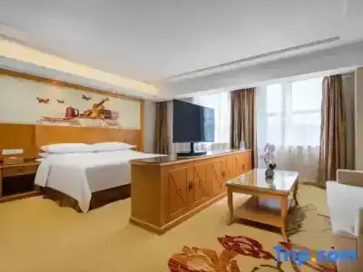 Vienna (Shenzhen Longgang Baifu City Store) - 31