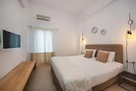 Eucalyptus - 33
