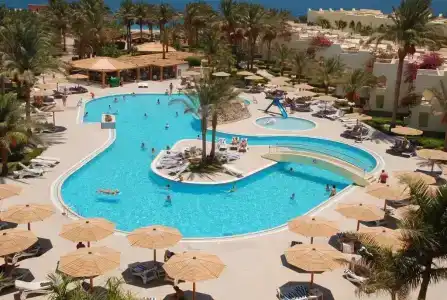 Palm Beach Resort Families and Couples only - 15