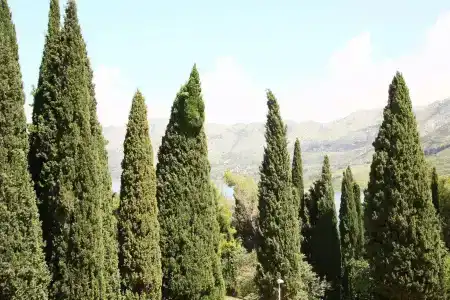 Villa Anka - 4