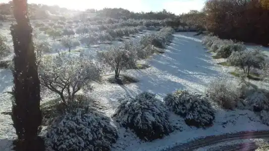 Agriturismo Barbi - 82