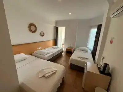 Mimosa Pension - 15