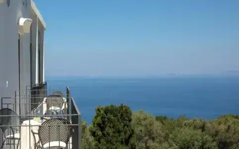 Bellavista - 41