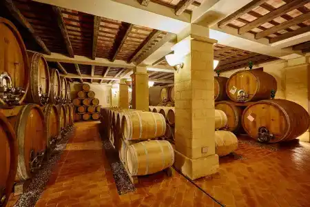 Agriturismo Baglio Donnafranca Wine Resort - 22