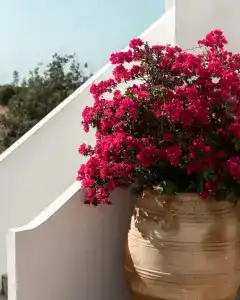 Creta Blue Boutique - 154
