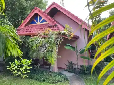 The Pace Phuket Boutique Resort - 43