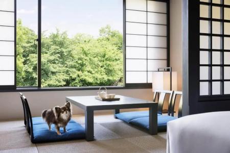 Izu Marriott Shuzenji - 83