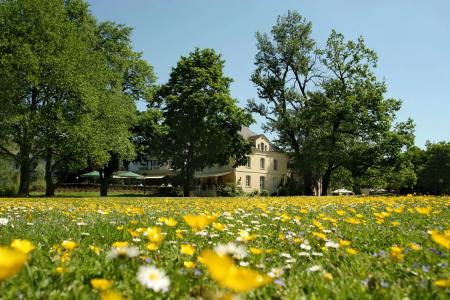 Nells Park - 13
