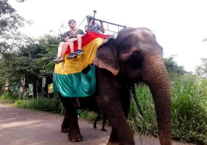 Sigiriya Rock Gate Resort - 22
