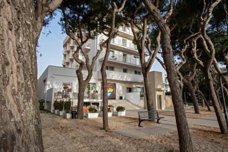 Velia - hotel completamente nuovo a Grottammare - 2